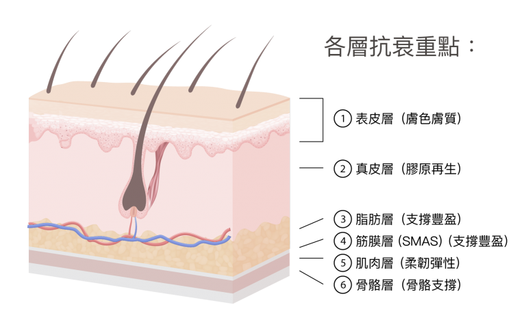 Skin 20230327 768x487 - 哈佛輪廓療程 - ​輪廓療程