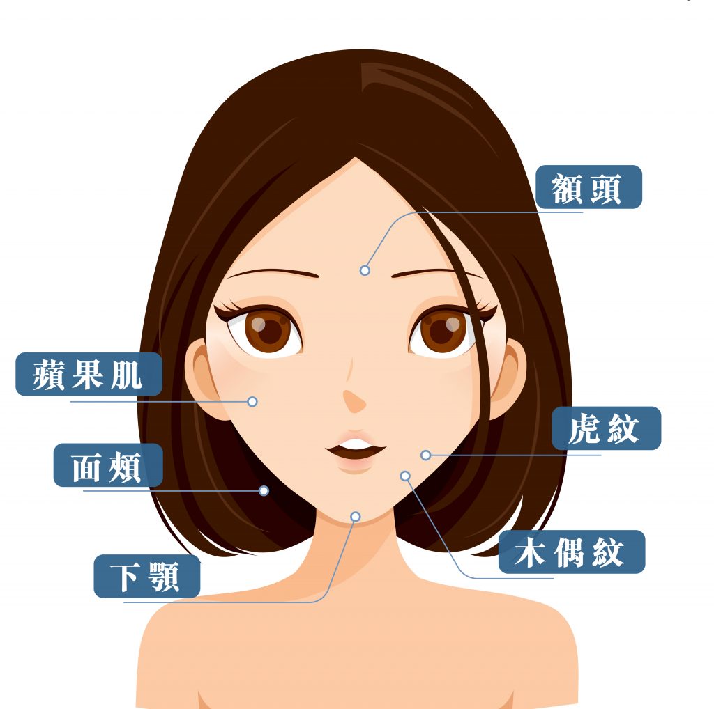 Face Illustration 1