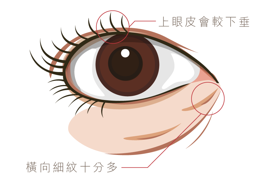Md Graphic 1