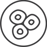 M22 Icon 06